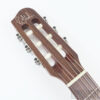 Godin Multiac Nylon Encore Left Hand