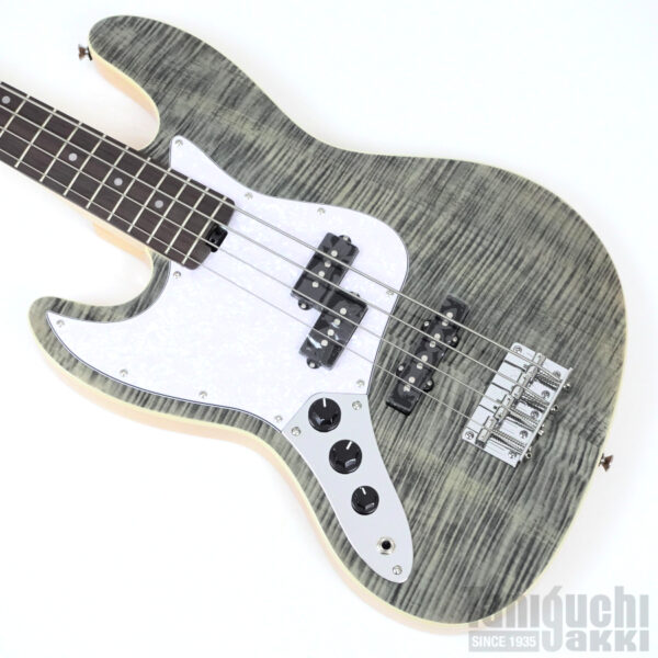 Aria ProII STB-AE200 (BKDM) 入門セット付【レフトハンド/左利き用】
