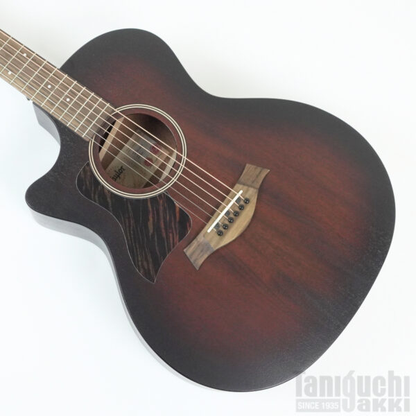 Taylor AD24ce Left-Handed