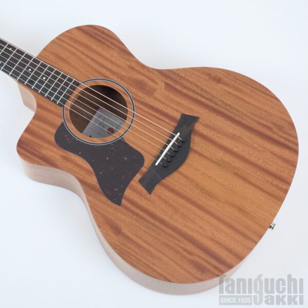 Taylor 24ce Left-Handed
