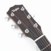 Taylor 24ce Left-Handed